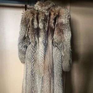 Woman’s Raccoon Cost